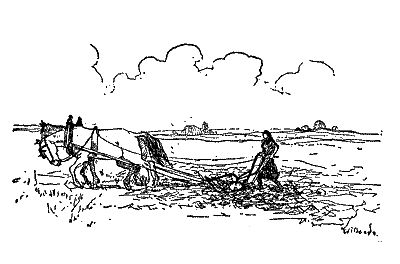 Image of 'Ántonia working the field'