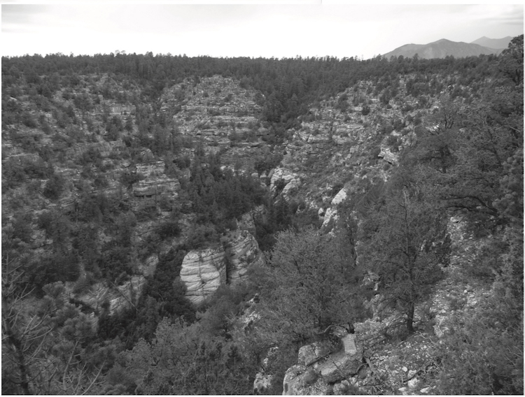 Photograph of Walnut Canyon, Arizona.