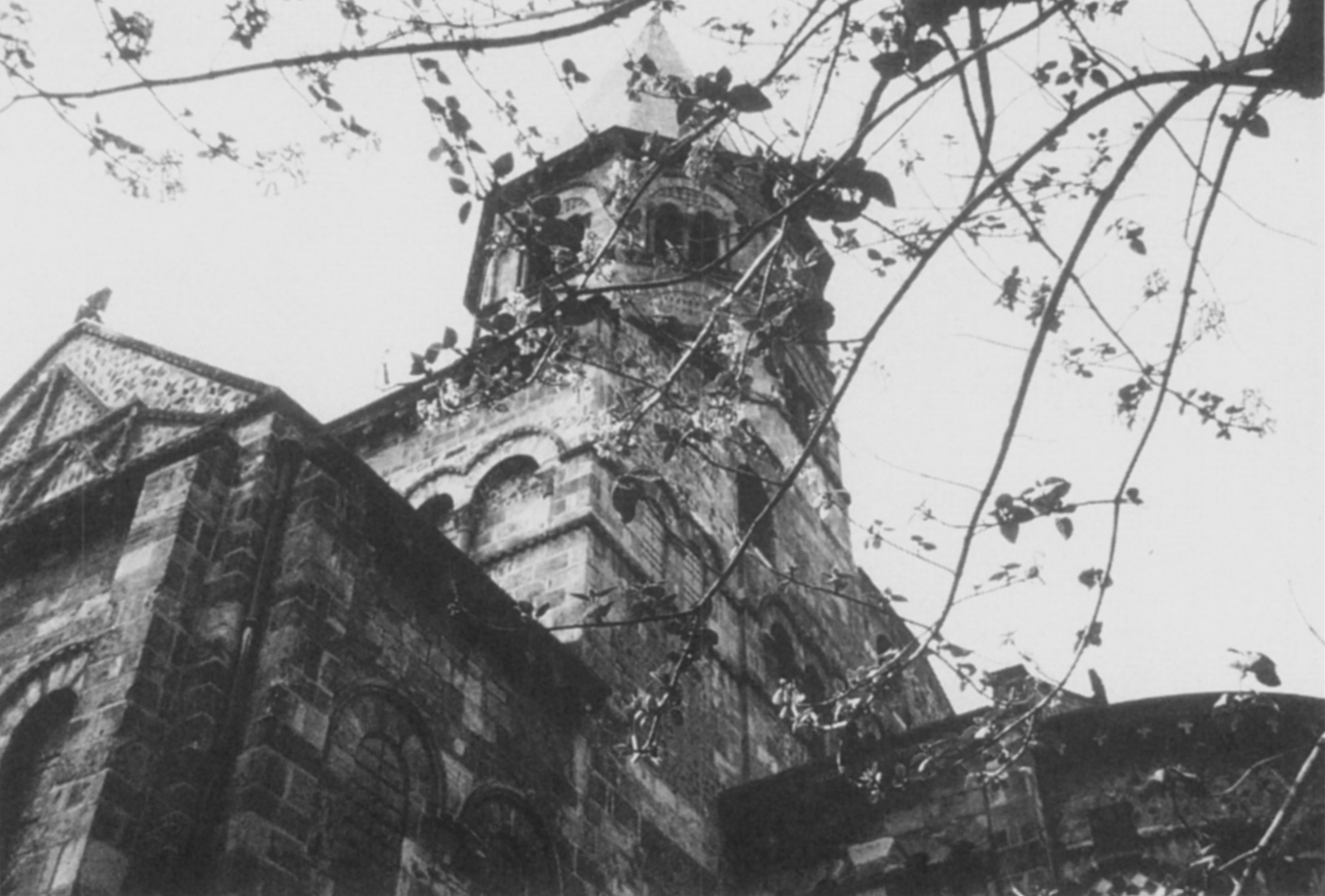 Photograph by John J. Murphy.