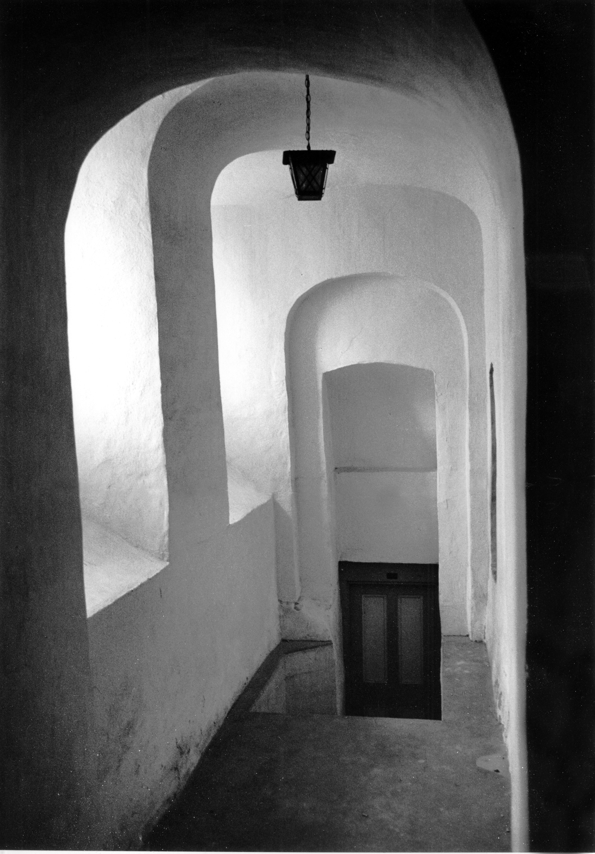 Photograph courtesy of Lucia Woods.