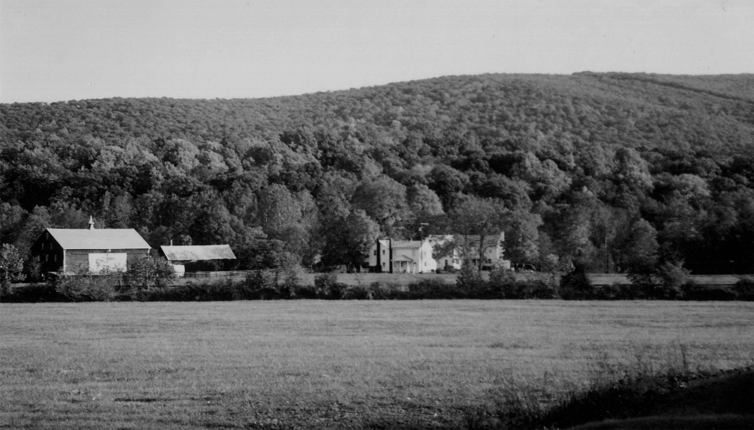 Photograph courtesy of David Parry.
