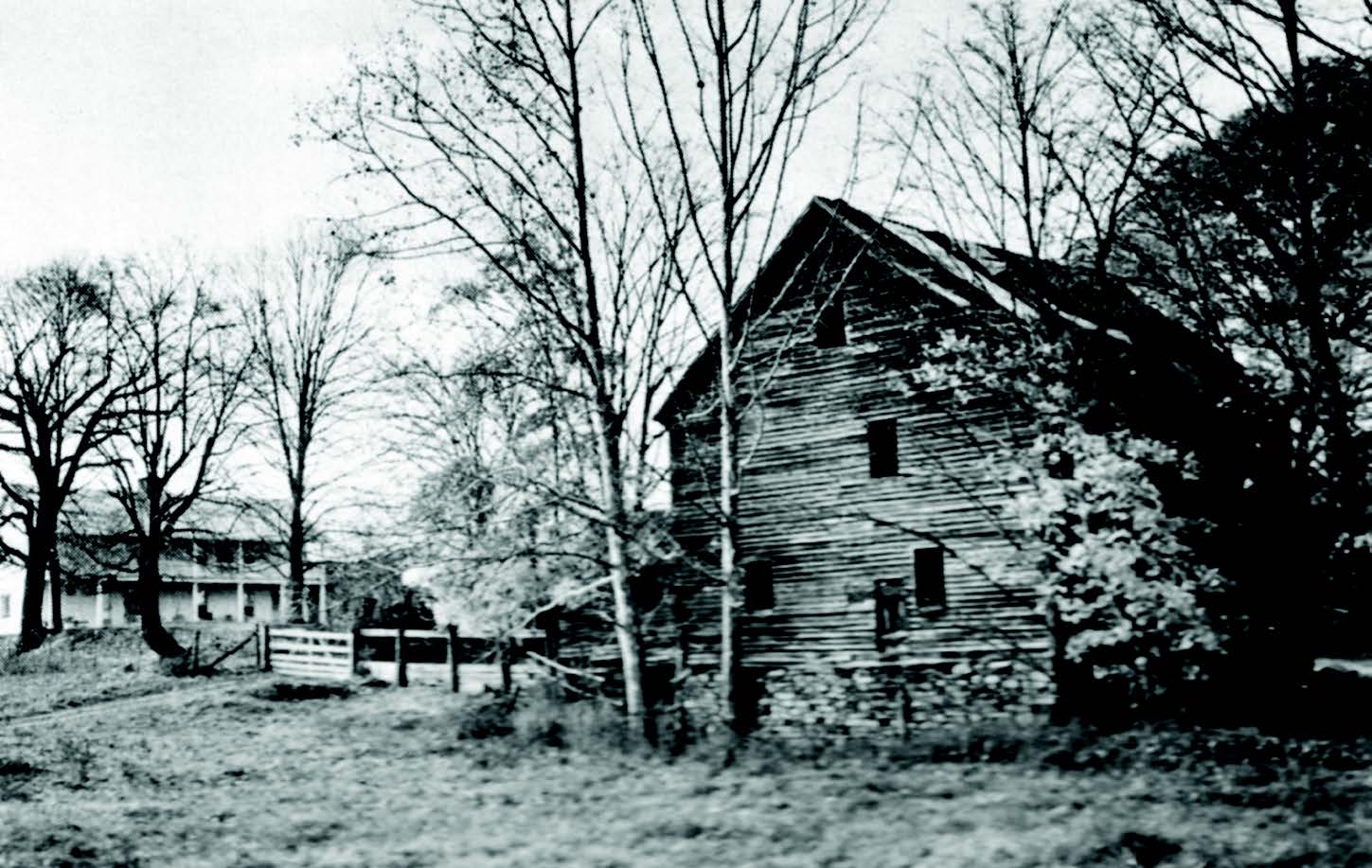 Photograph courtesy of Lucia Woods, copyright 1973.