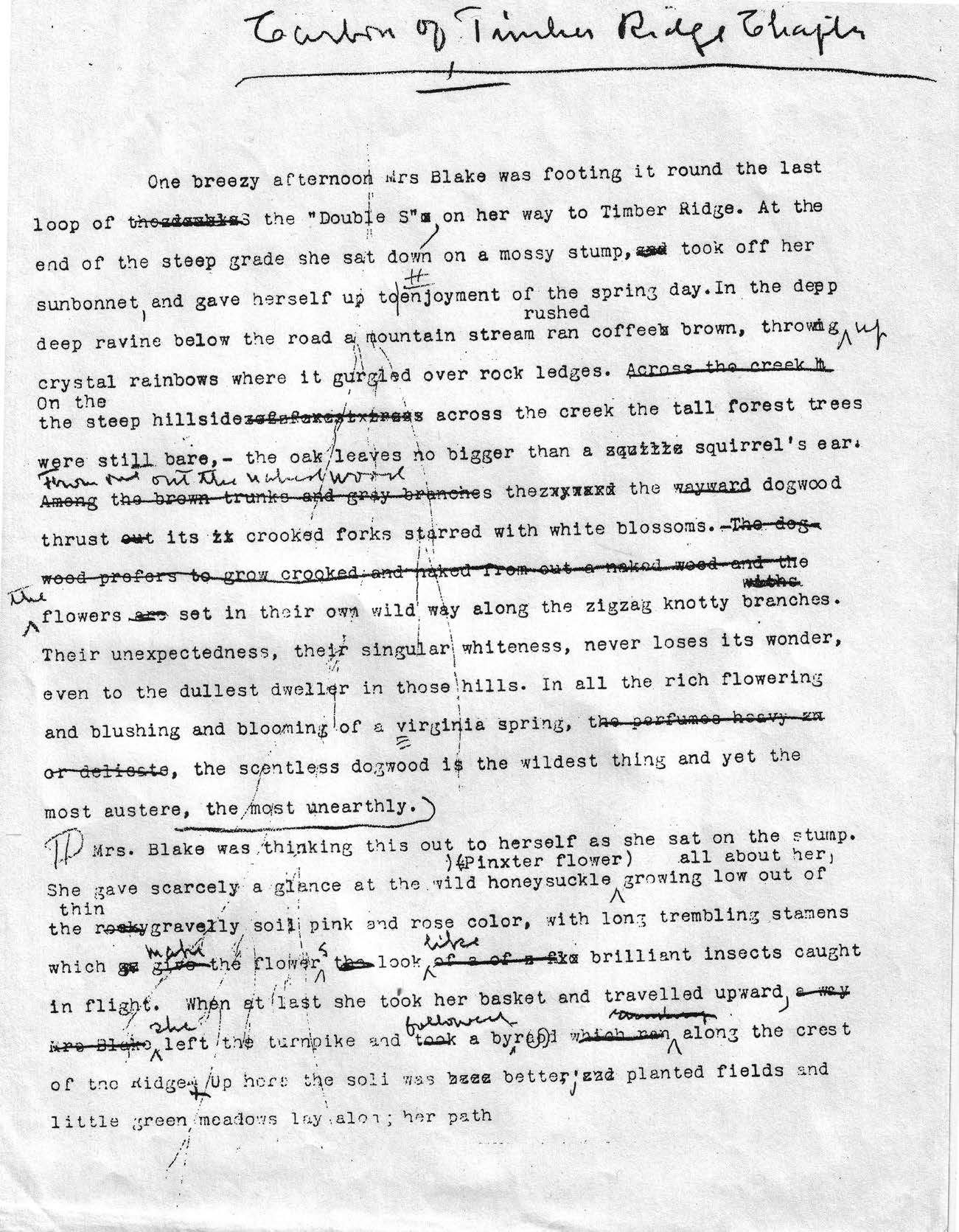 Susan J. and James R. Rosowski Cather Collection, Archives and Special Collections, University of Nebraska–Lincoln Libraries.