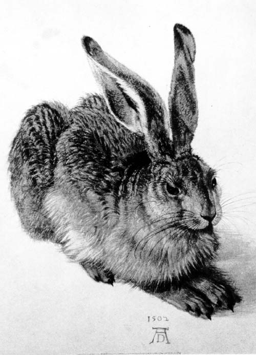 Dürer's hare. Courtesy Albertina, Wien, Austria