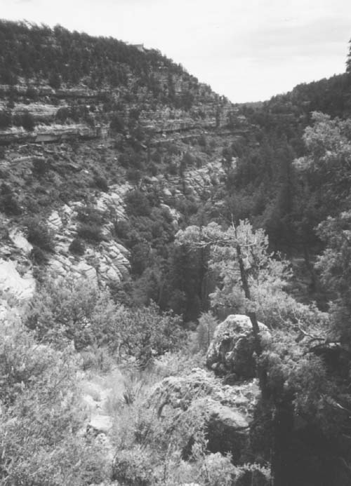 Picture of the "V-shaped inner gorge," Walnut Canyon. Photo by the author