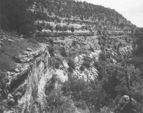 Picture of soft stratum of rock hollowed out over time to create grooves for ancient clif-dwellings, Walnut Canyon. Photo by the author