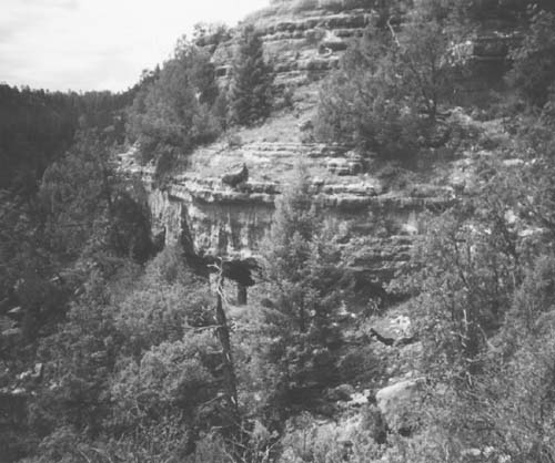 Picture of Thea's "rock-room" at the juncture between Ranger Canyon and Walnut Canyon. Photo by the author