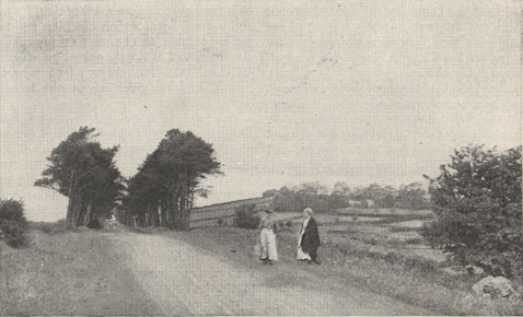 photograph of the road from Ballymena to Ballymoney in Ireland