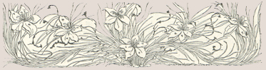 A drawing of grass and flowers