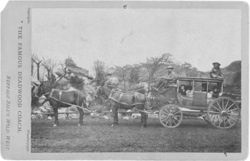 Mule drawn Deadwood stagecoach