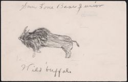 Drawing, "Sammy Lone Bear, Wild Buffalo"