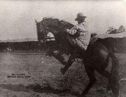 William McGinty mounting a bucking horse