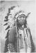 Chief Flying Hawk