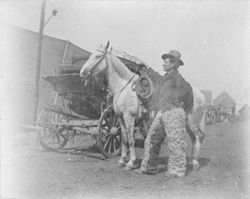 Tom Isbell, saddled horse, and stagecoach at Buffalo Bill's Wild West