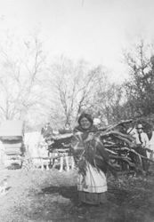 Native American woman carrying wood on her back