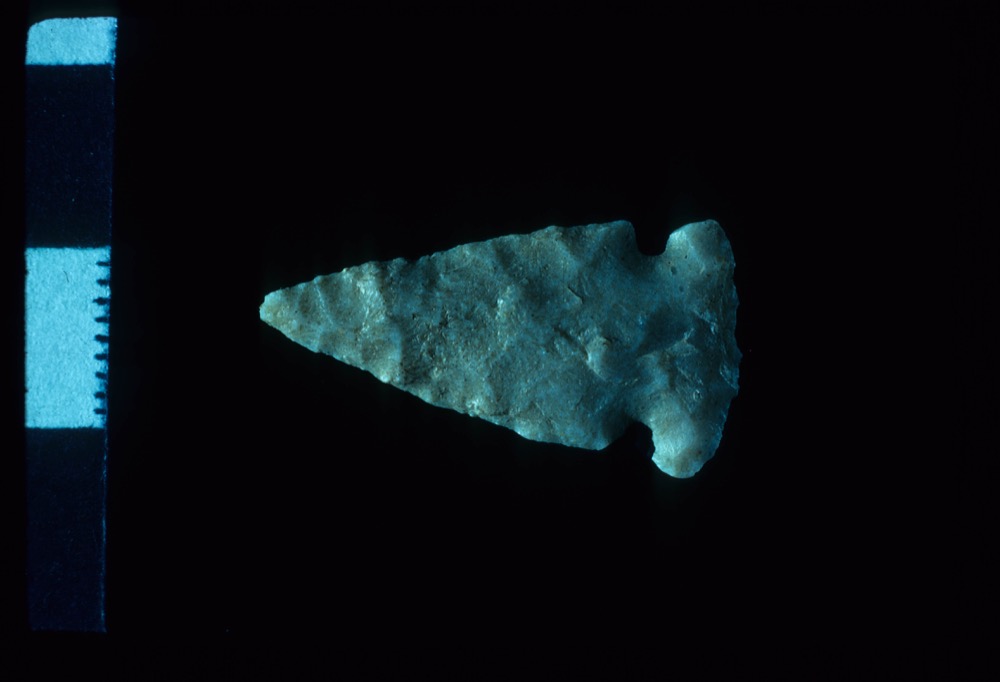 12503