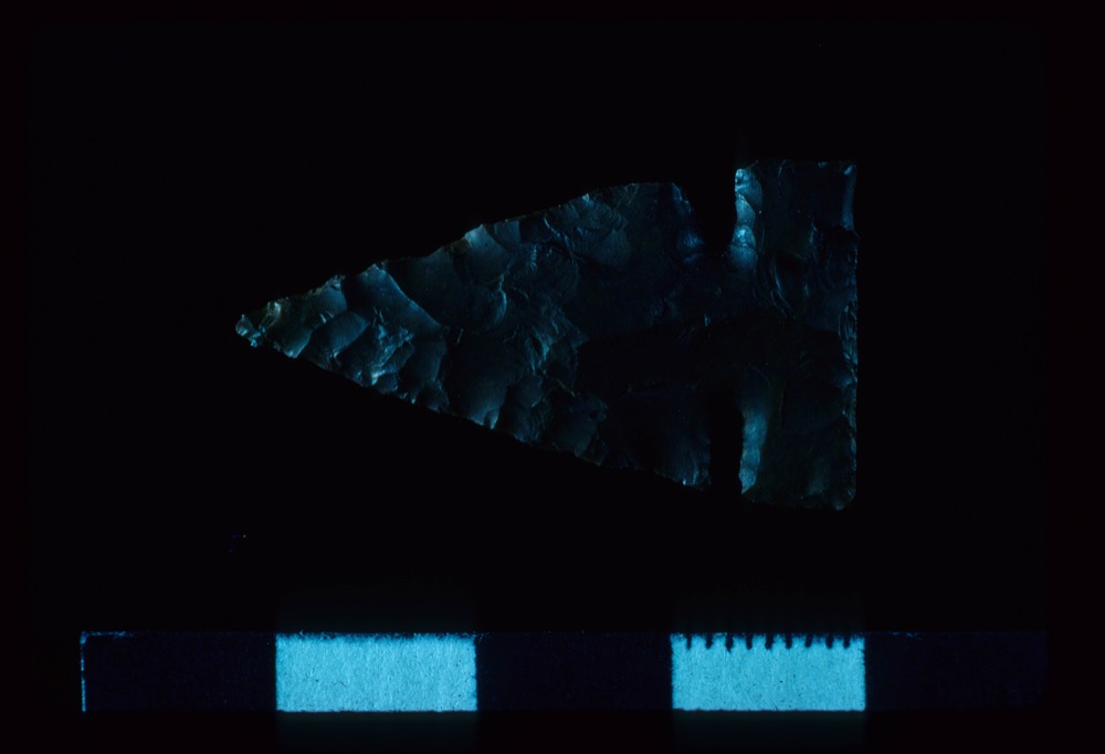 12504