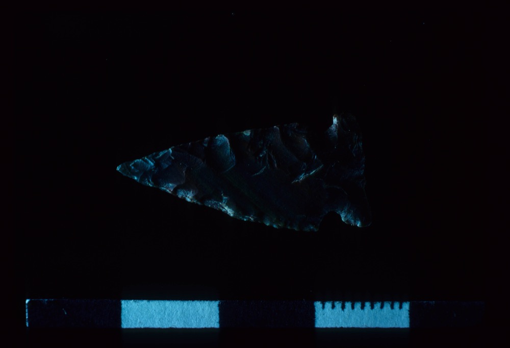 12505