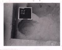 PA10116