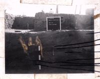 PA10124