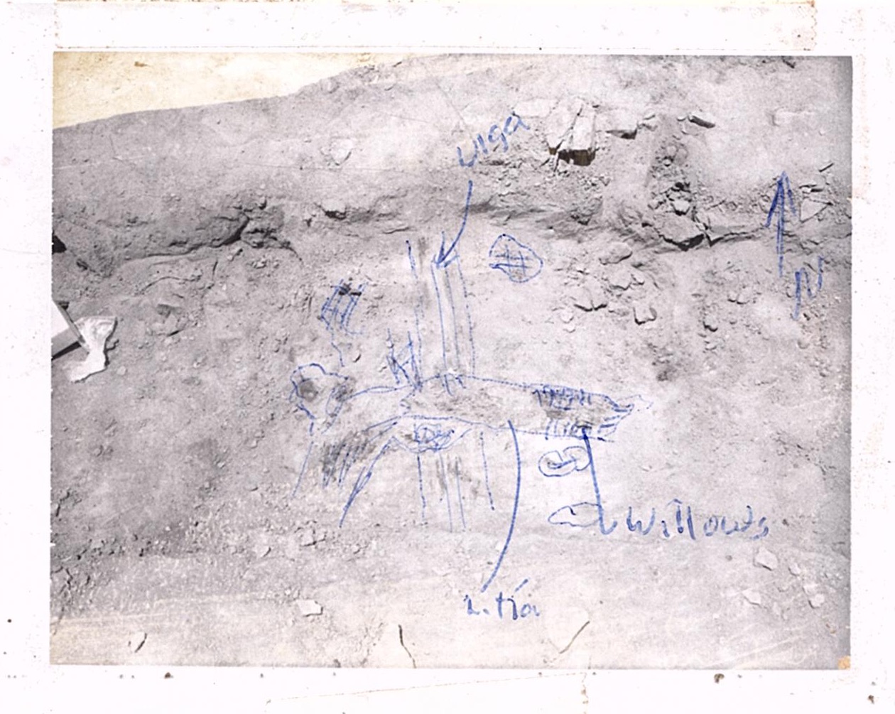 PA10526