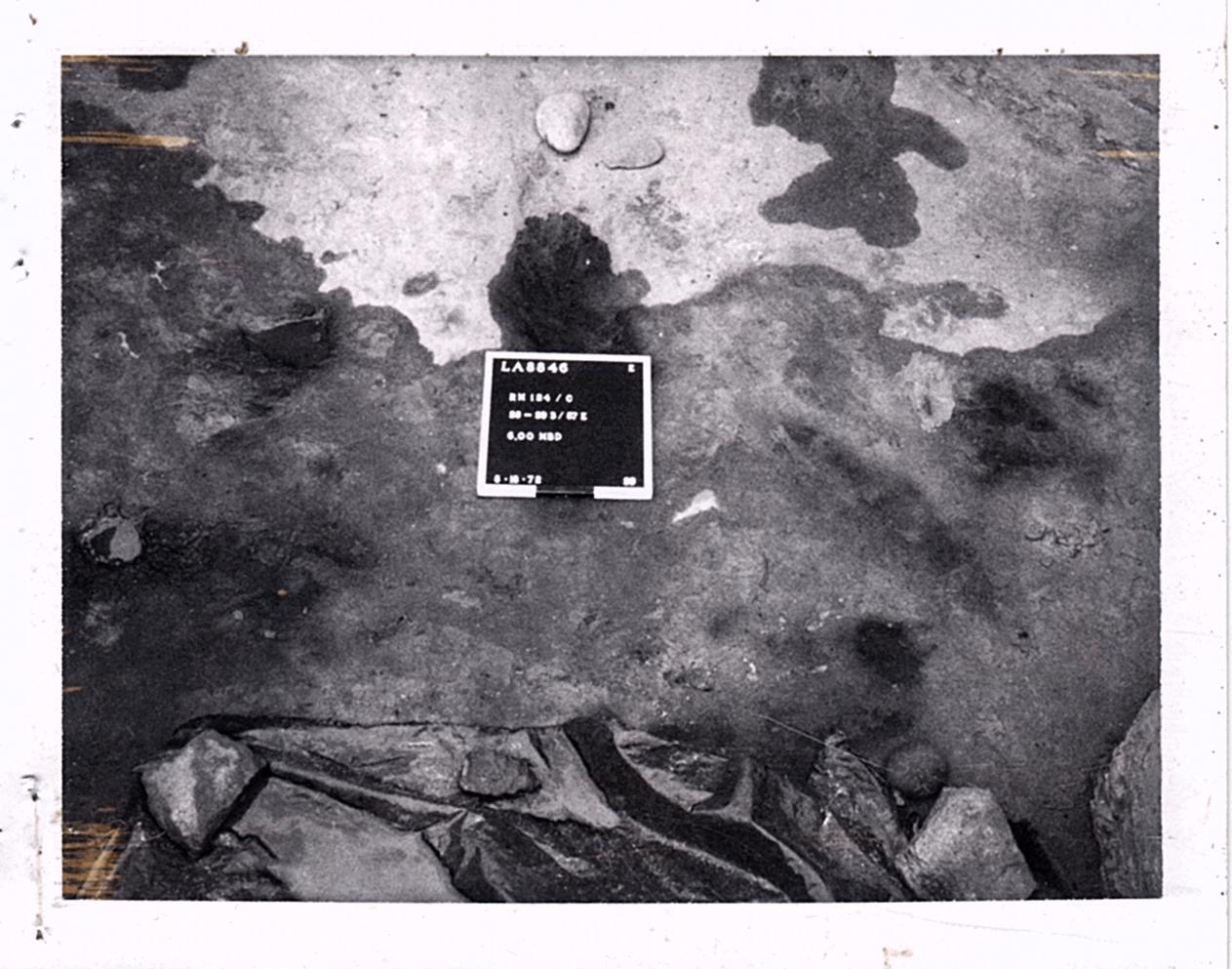 PA11009