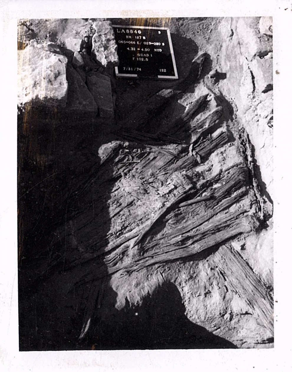 PA11113
