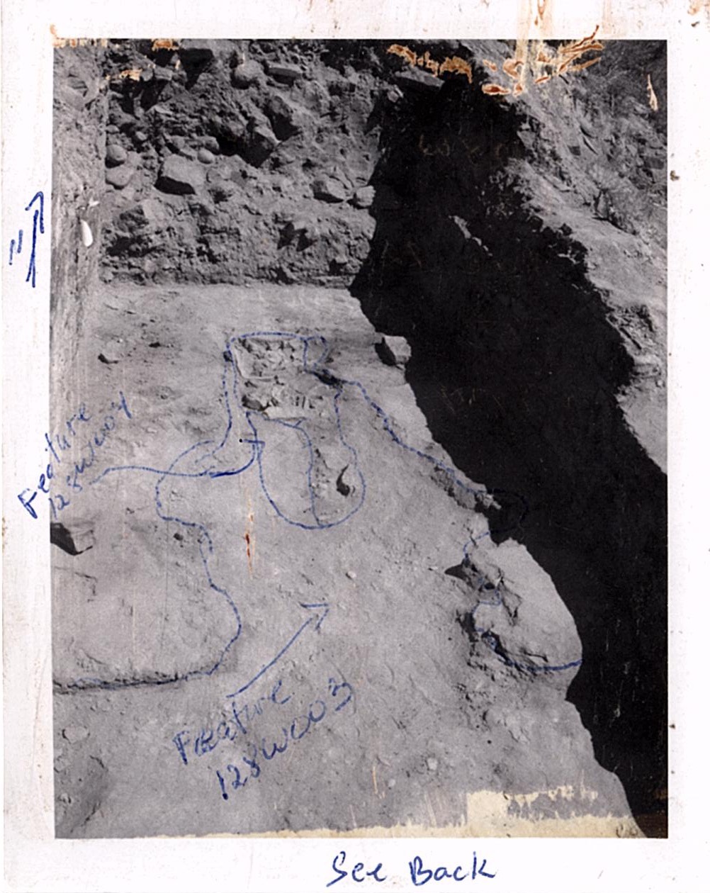 PA11314
