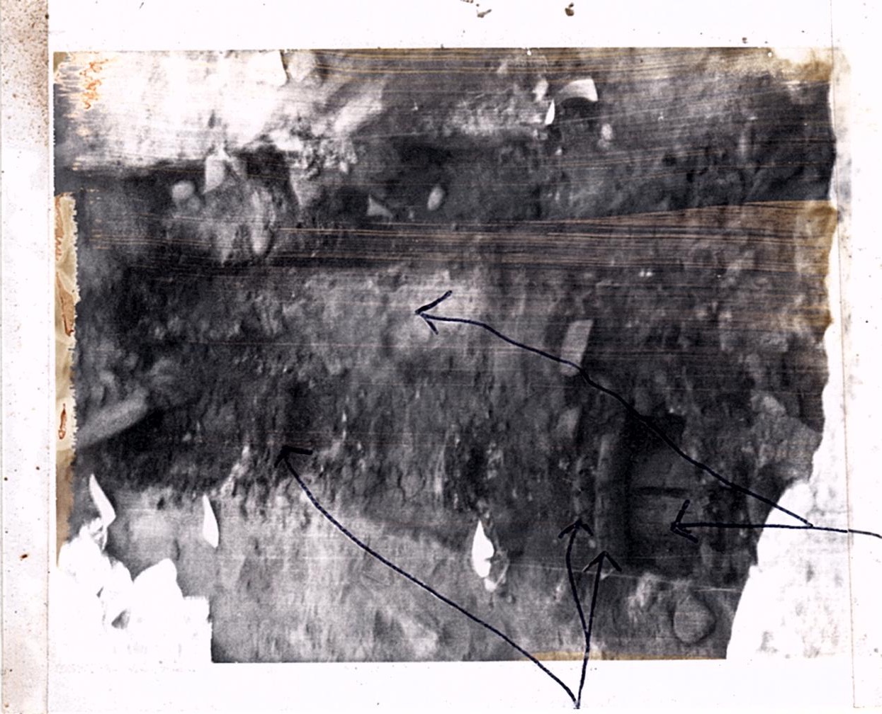 PA11359