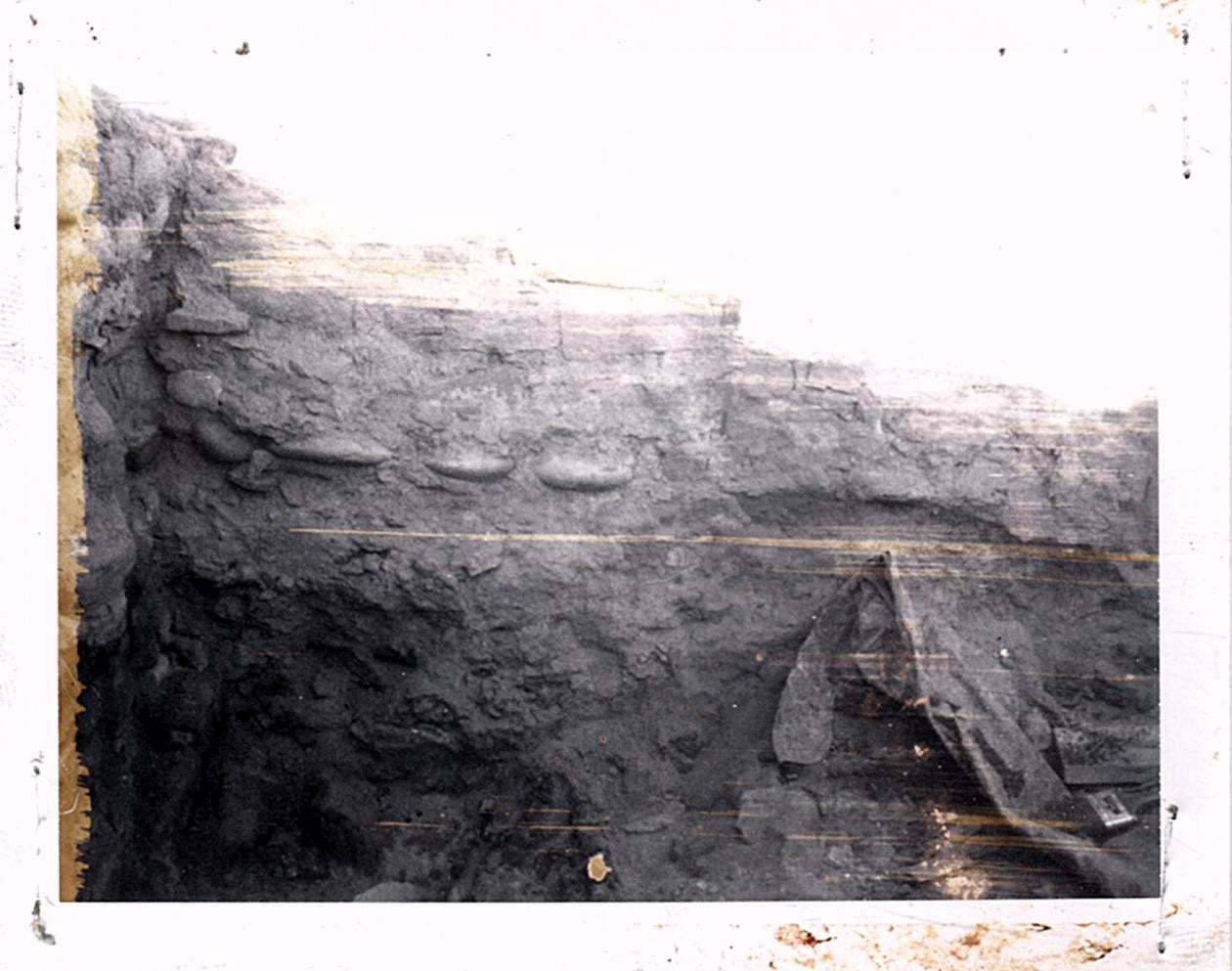PA11372