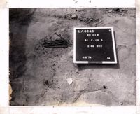 PA11413