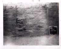 PA11420