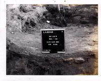 PA11423