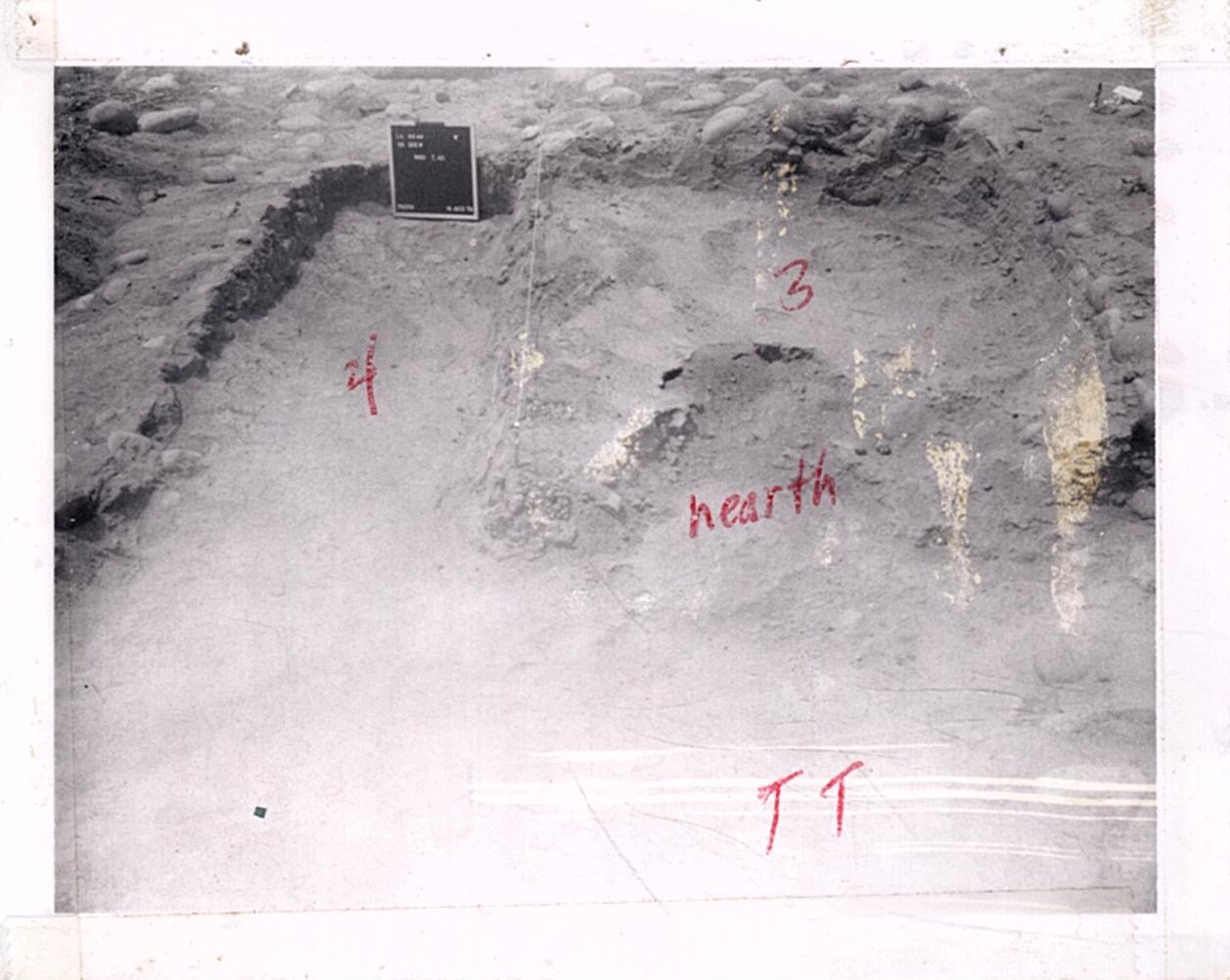 PA11512
