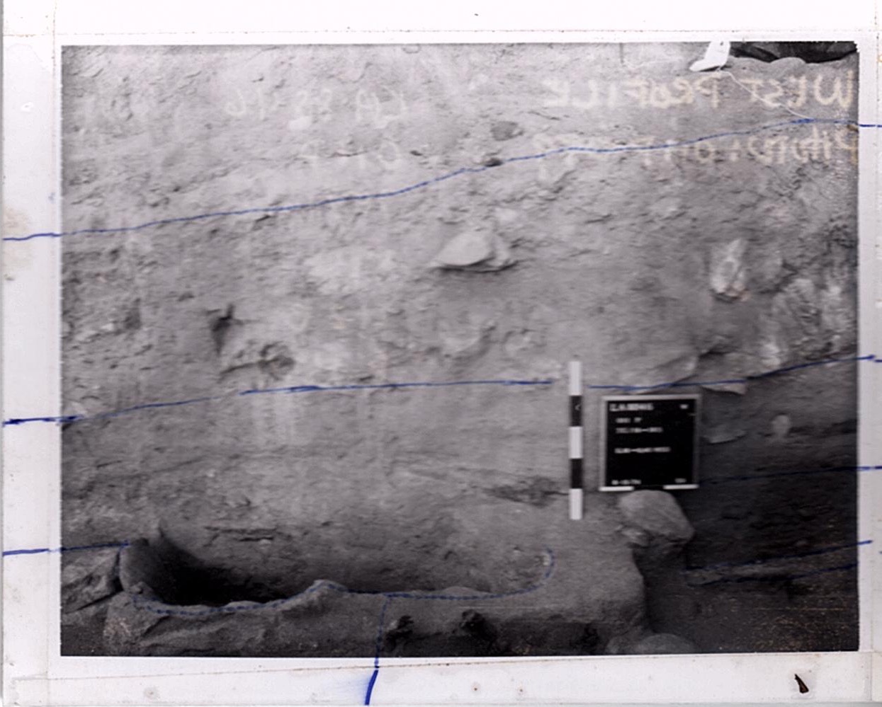 PA07330