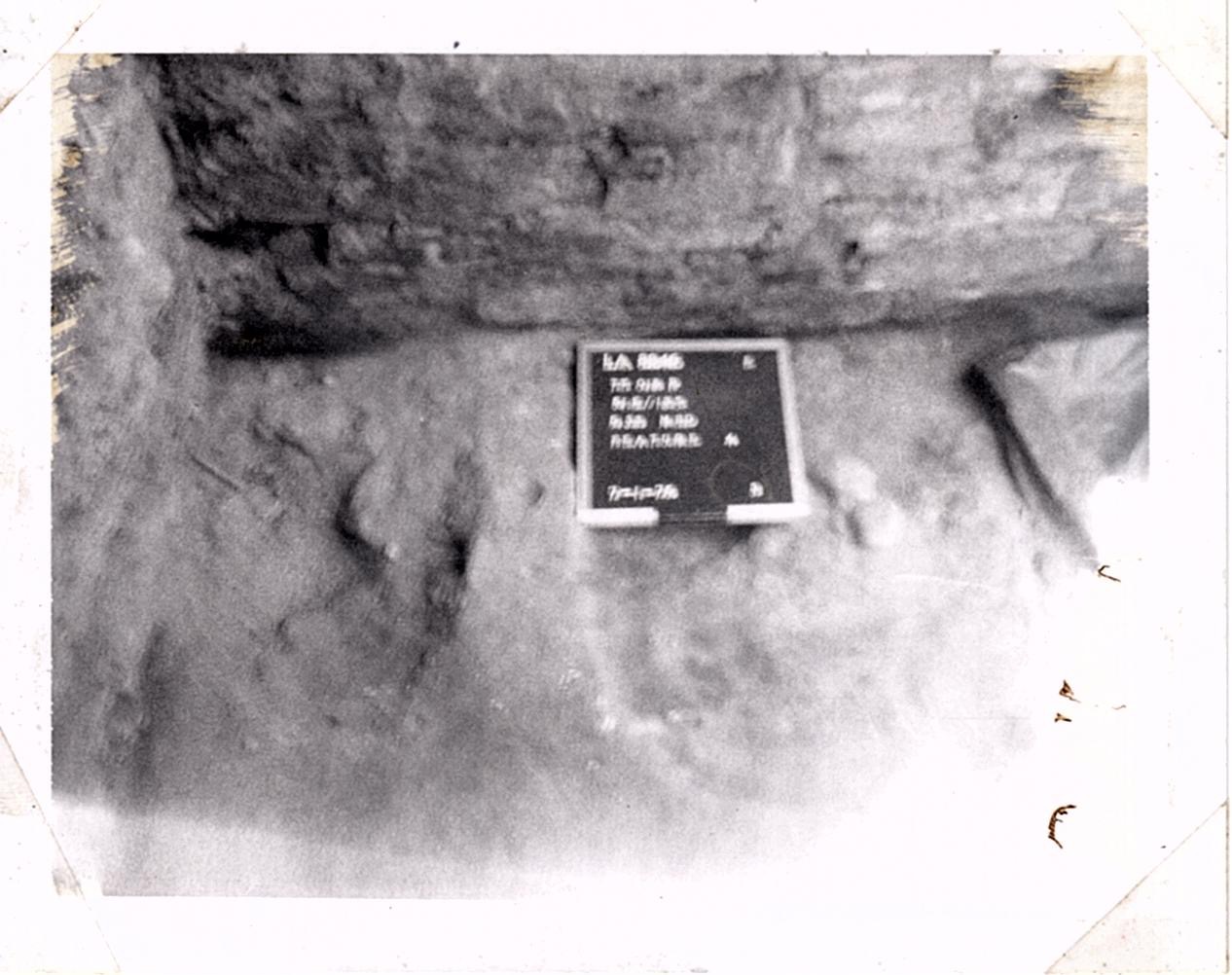 PA07455