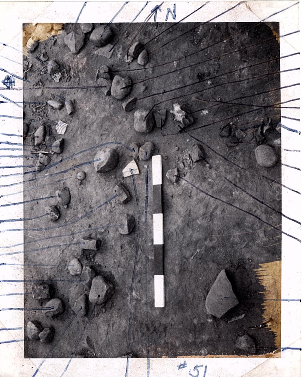 PA07685