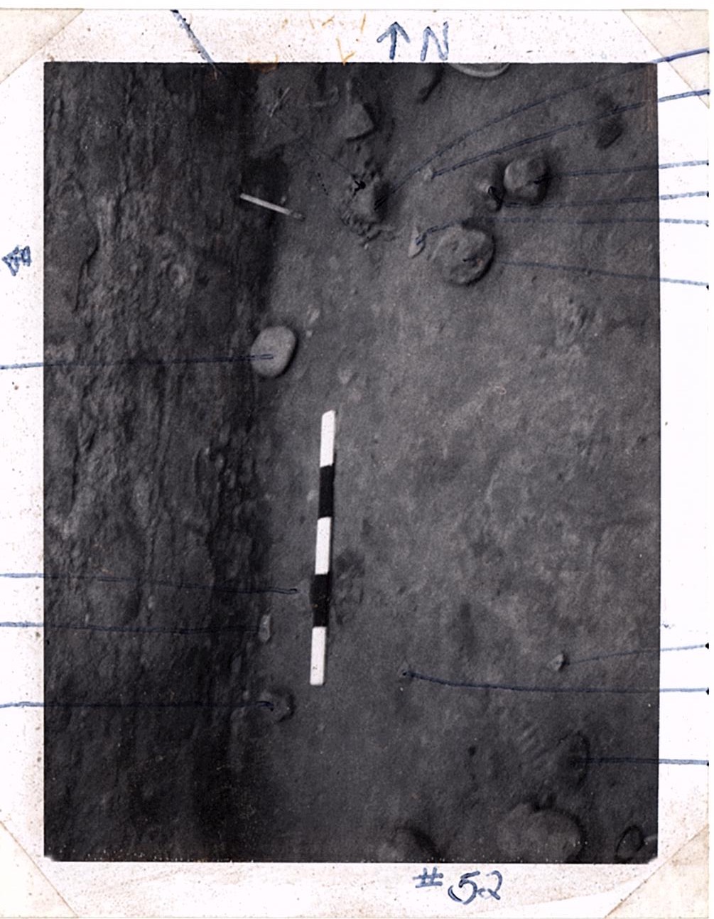 PA07686