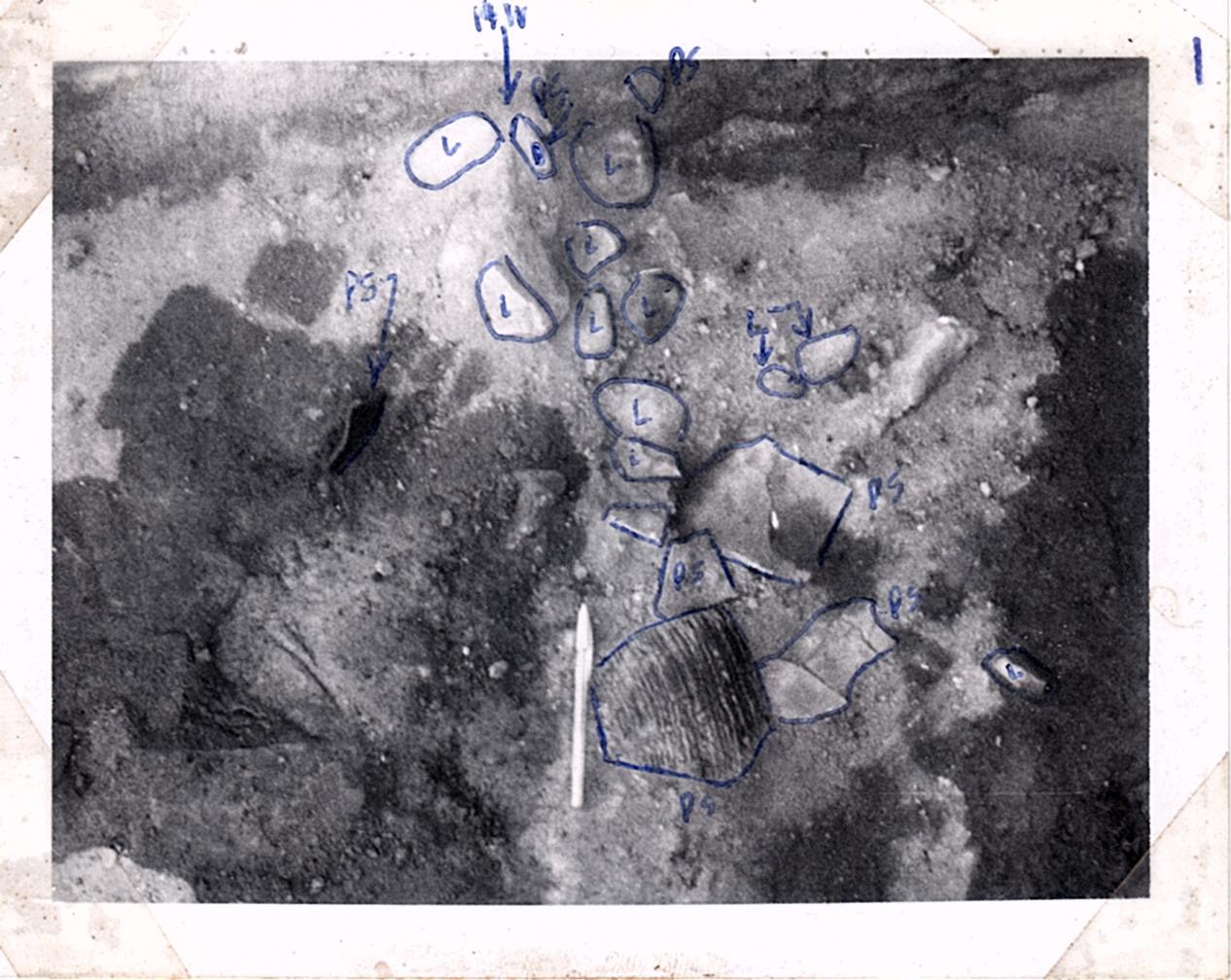 PA08048