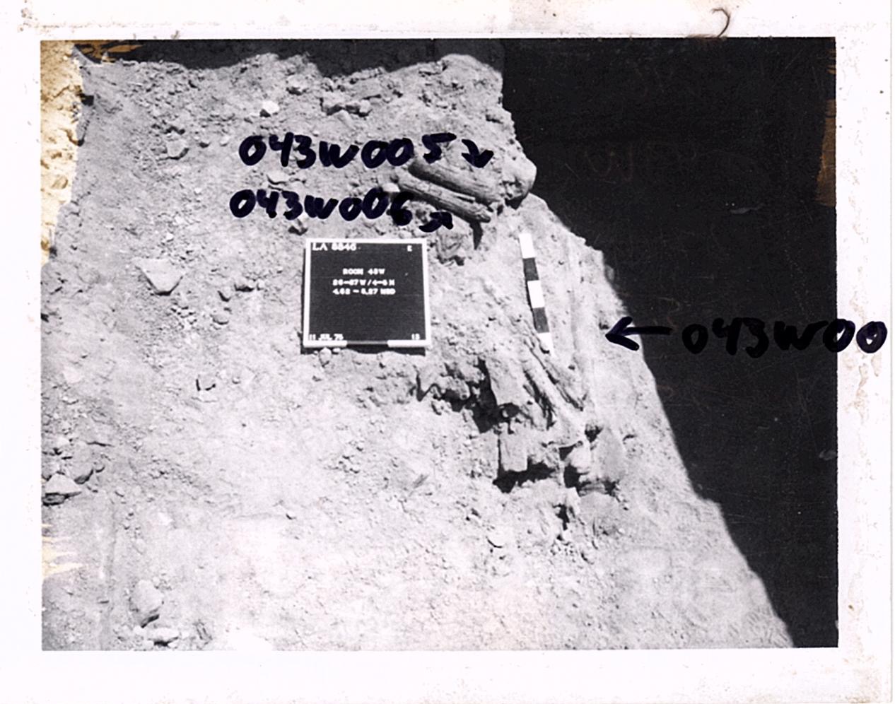 PA08279