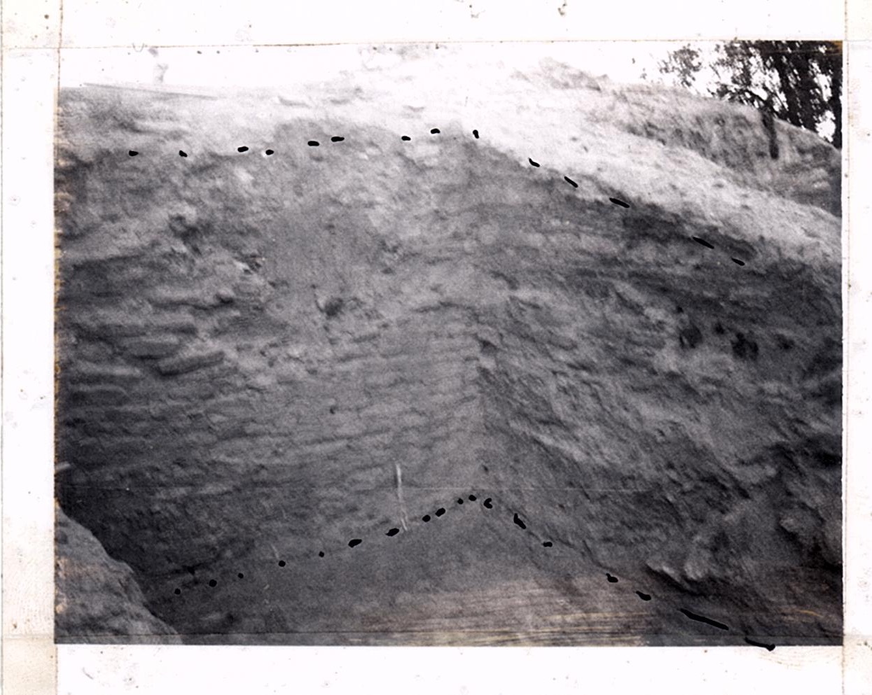 PA08369