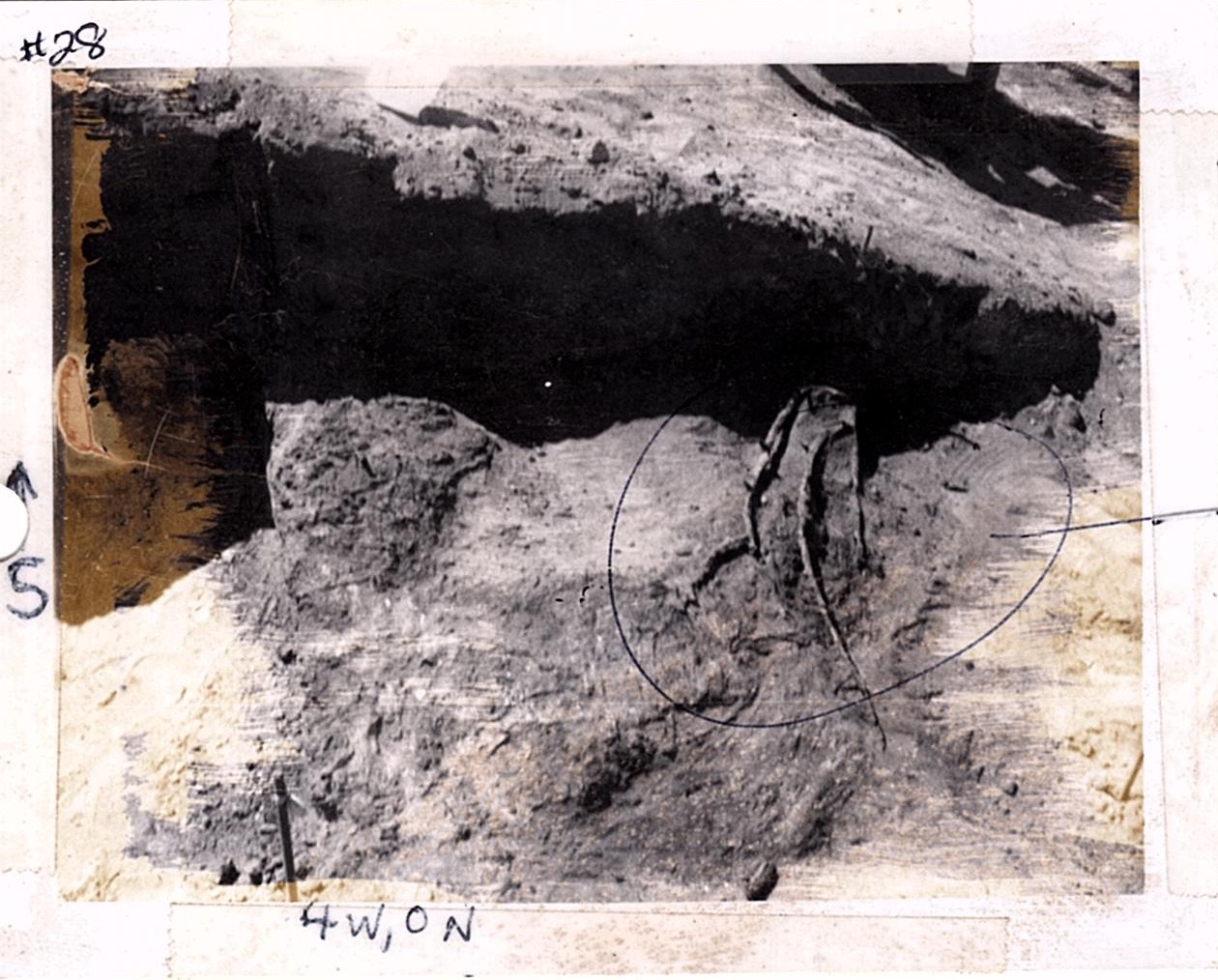 PA08597