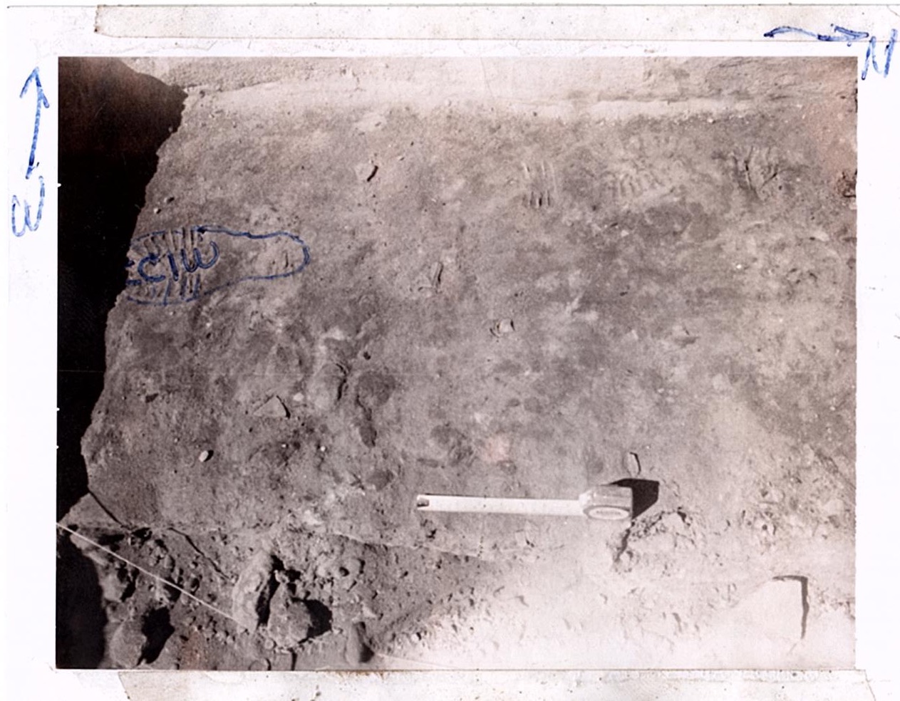 PA08925