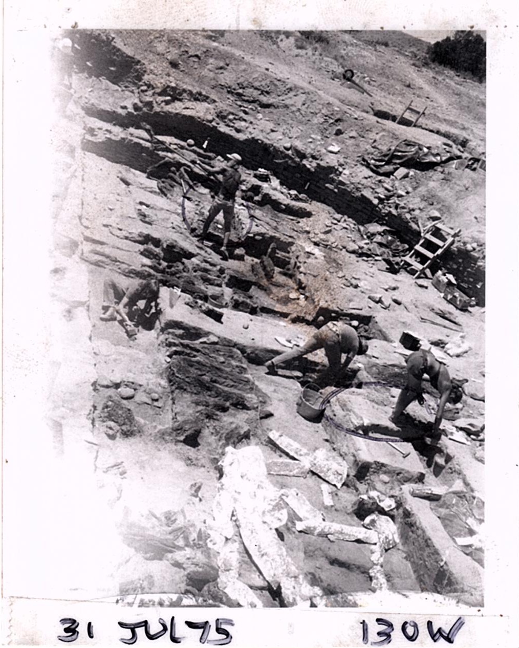 PA09355