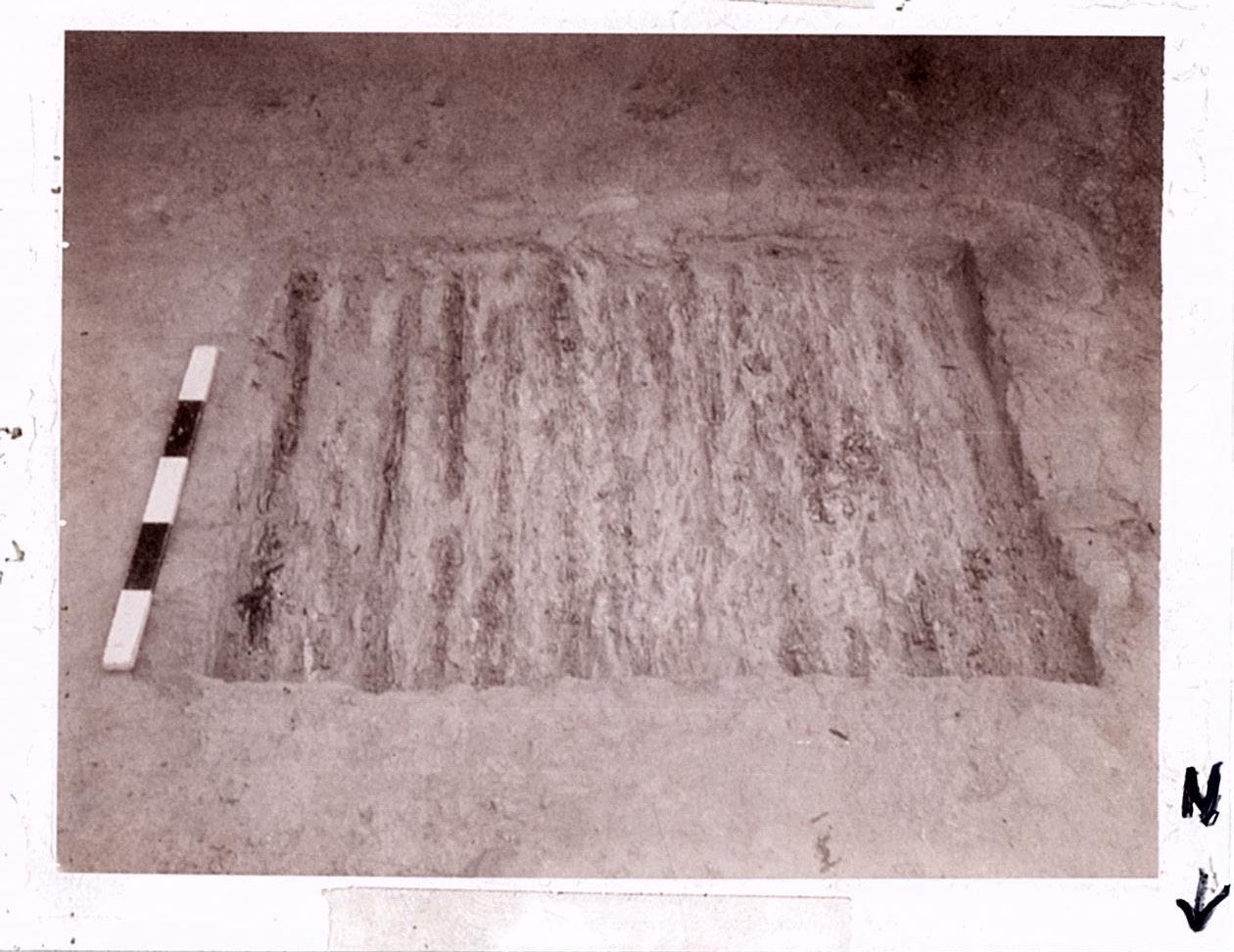 PA09545
